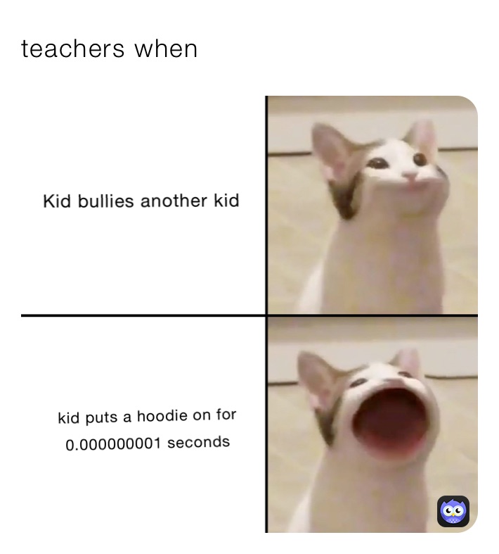 teachers when