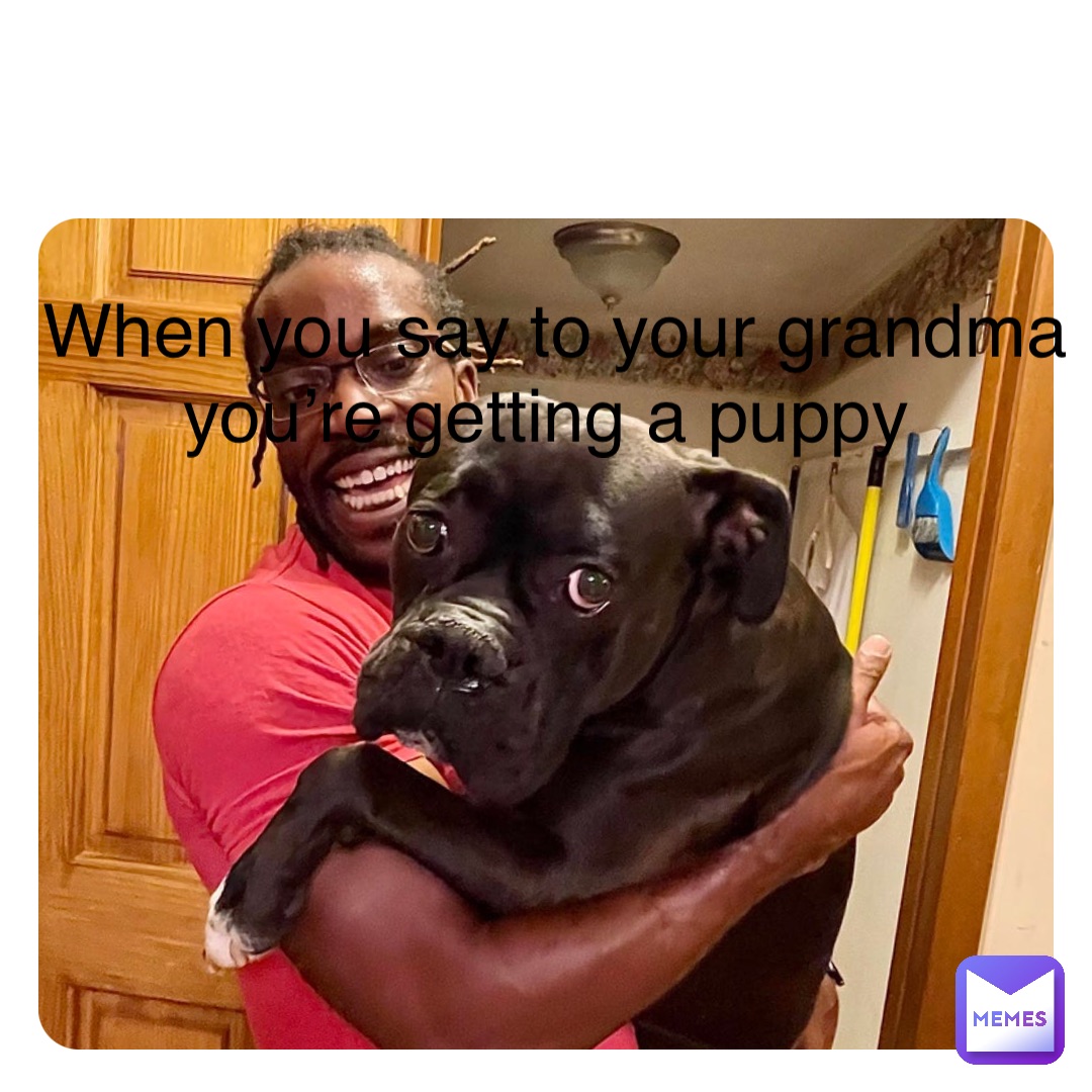Meme by sofialovespuppys