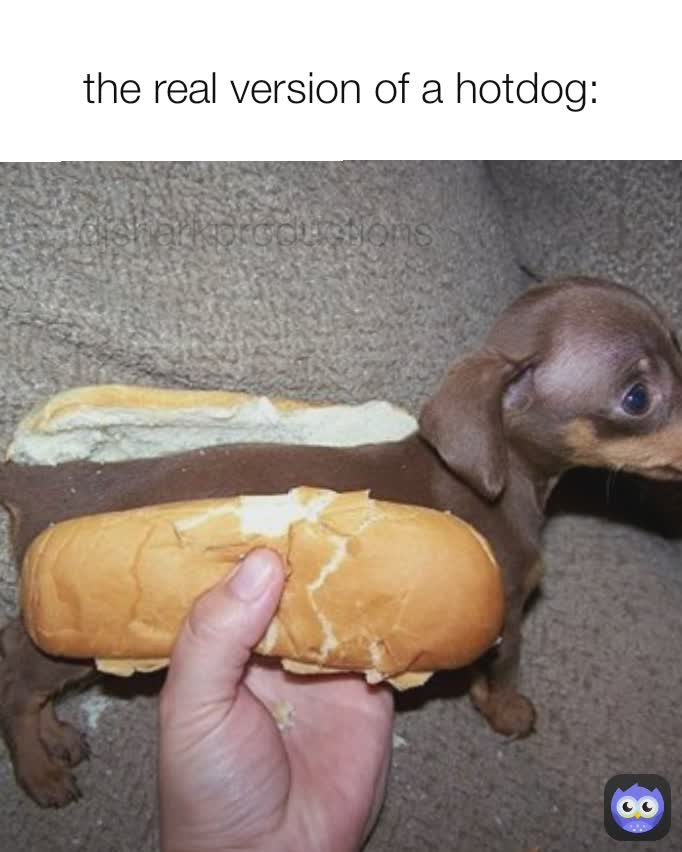 djsharkproductions the real version of a hotdog: