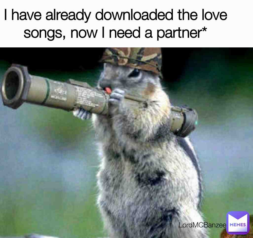 Meme shared by @LordMCBanzee