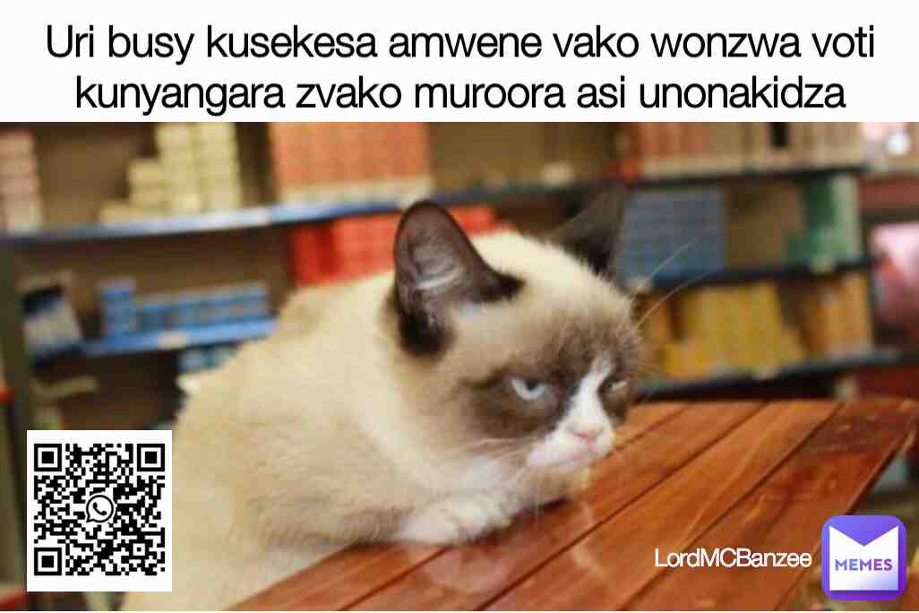 Meme shared by @LordMCBanzee