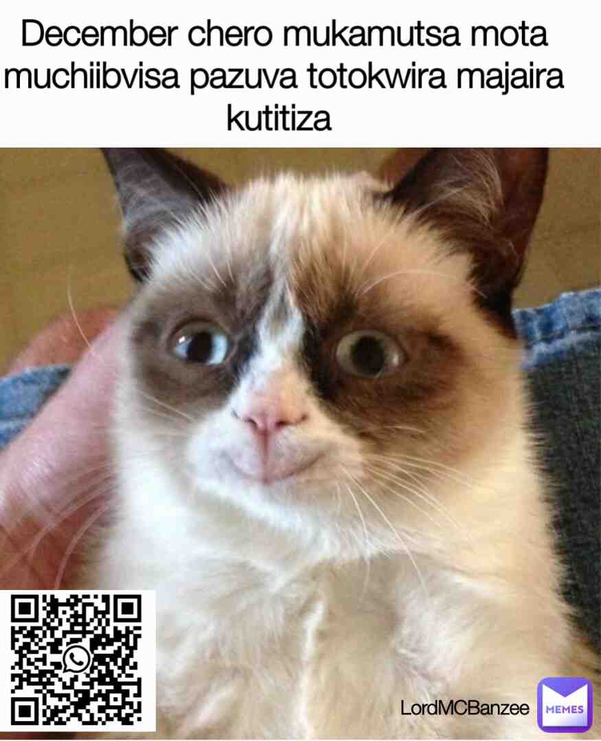 Meme shared by @LordMCBanzee