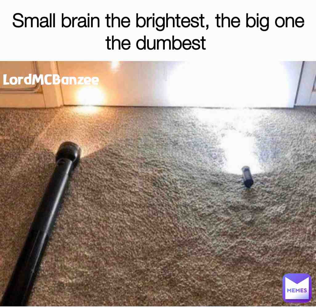Meme shared by @LordMCBanzee