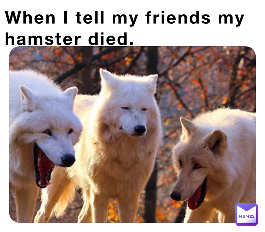 When I tell my friends my hamster died.