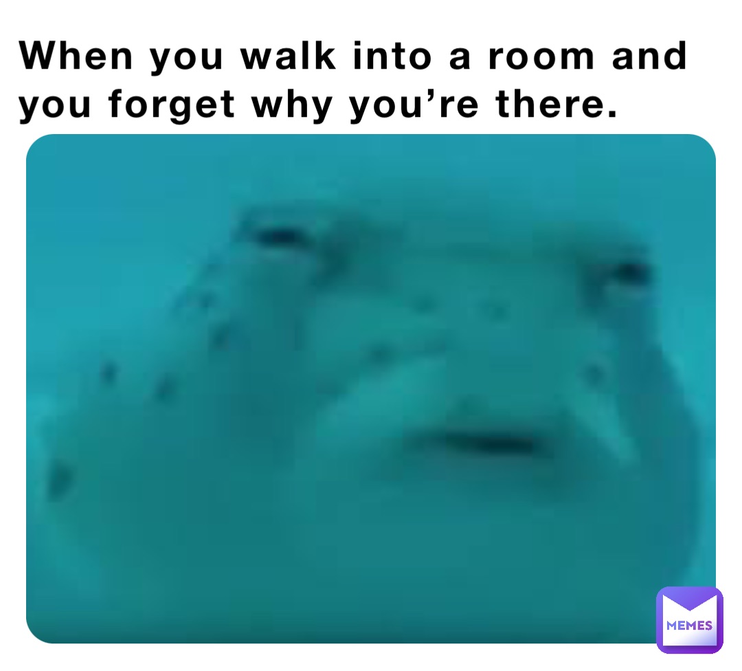 When you walk into a room and you forget why you’re there.