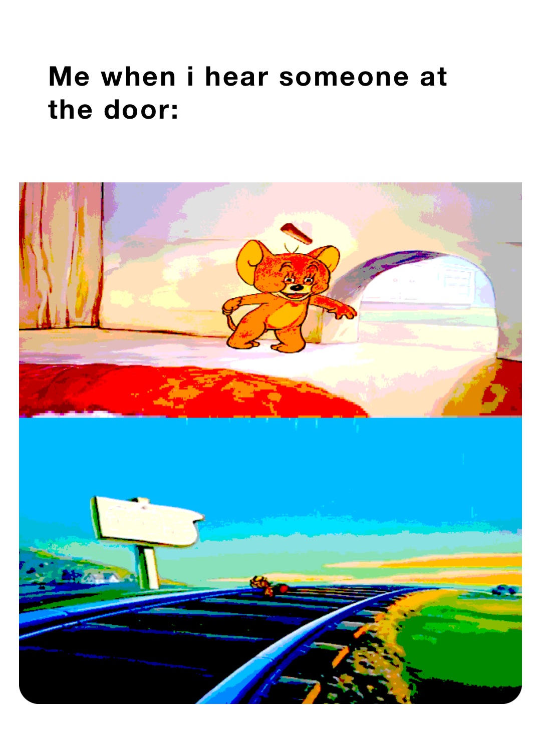 Me when I hear someone at the door: