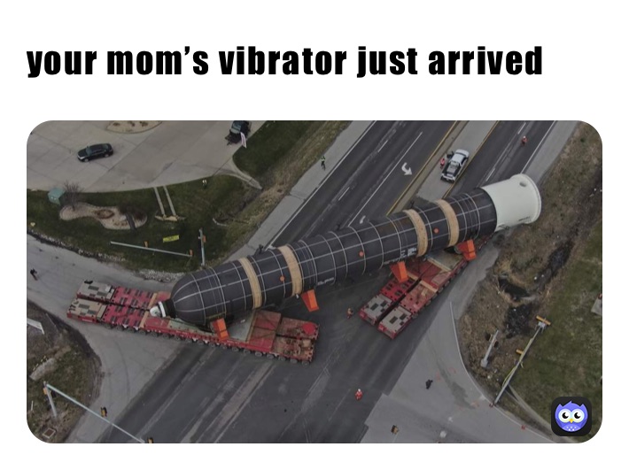 your mom’s vibrator just arrived 