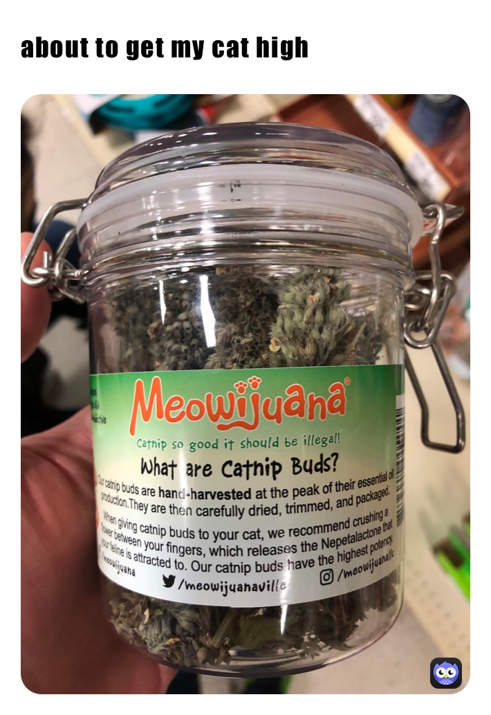 Meme by brokeboy_820