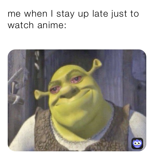 me when I stay up late just to watch anime:
