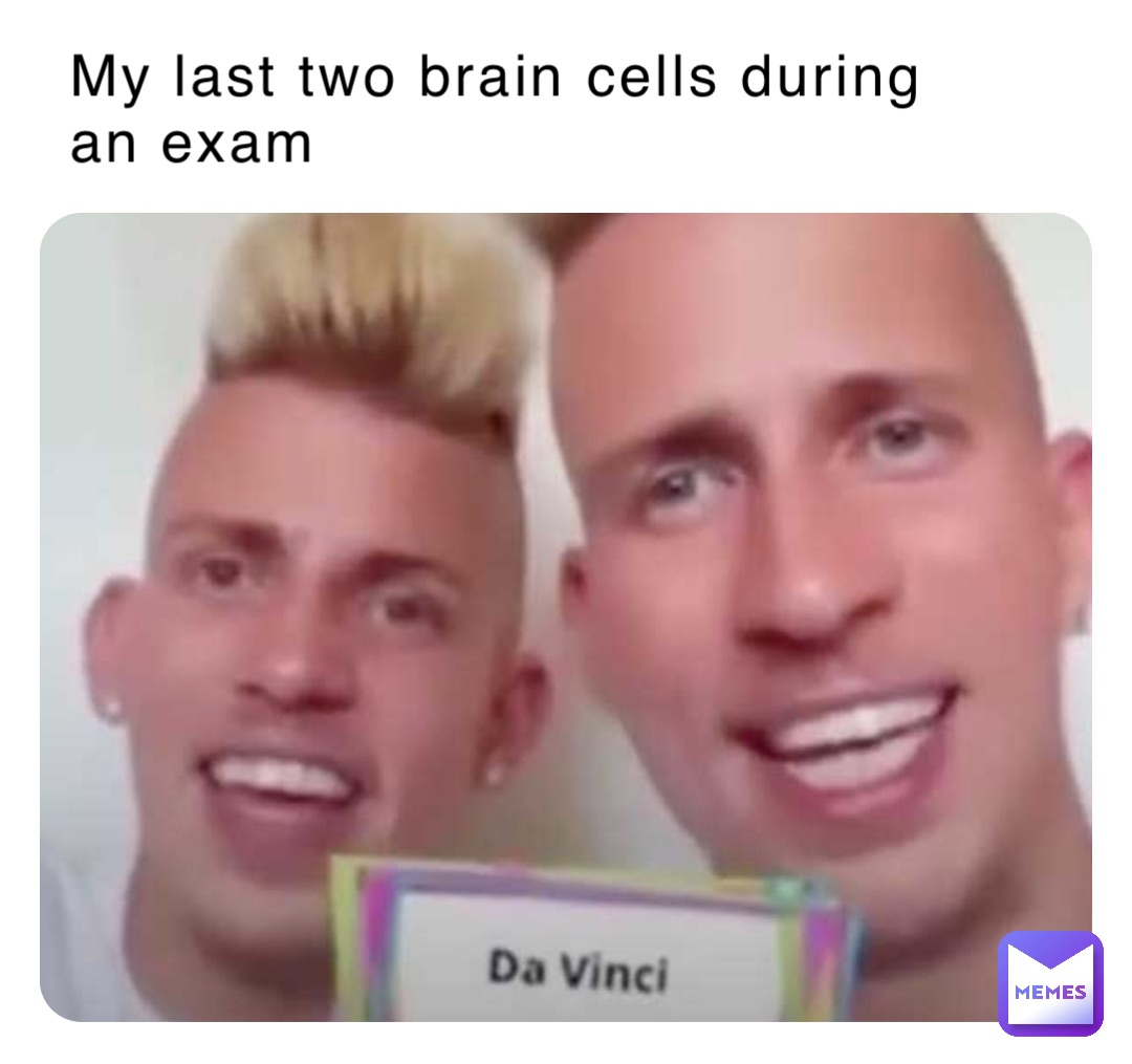 My last two brain cells during an exam