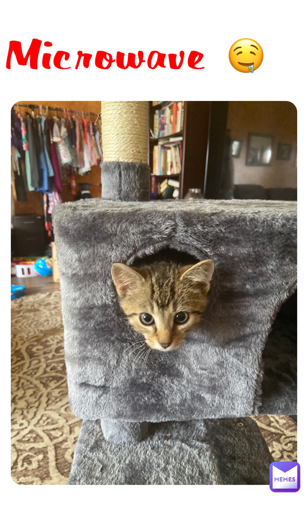 Meme by Black_Cat_Funny