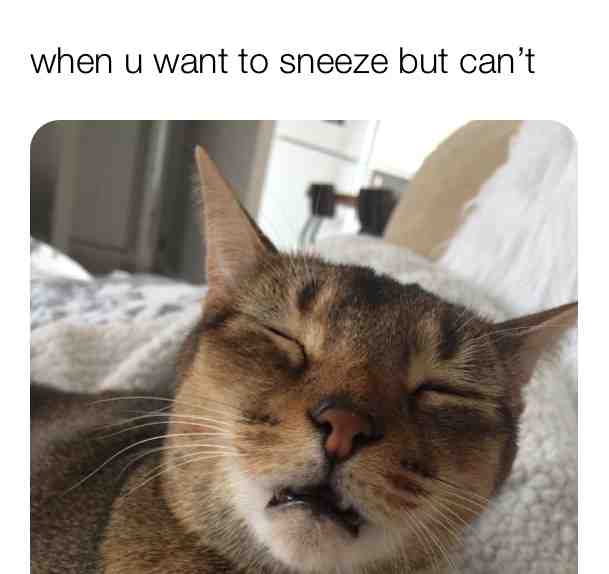 #whenuwanttosneeze #sneeze #cant