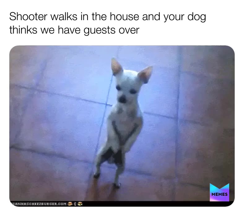 Meme shared by @sam2010