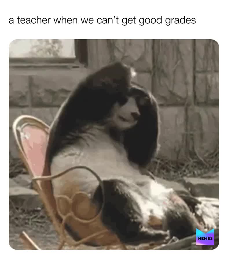 Meme shared by @sam2010