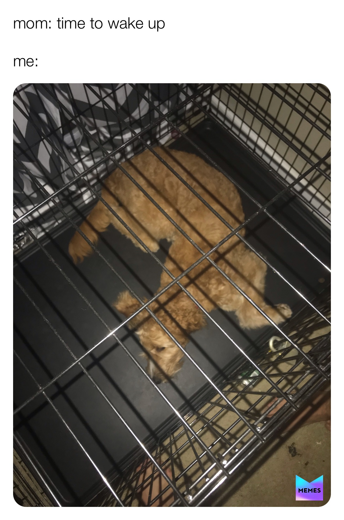 Meme by brutus_the_buckeye