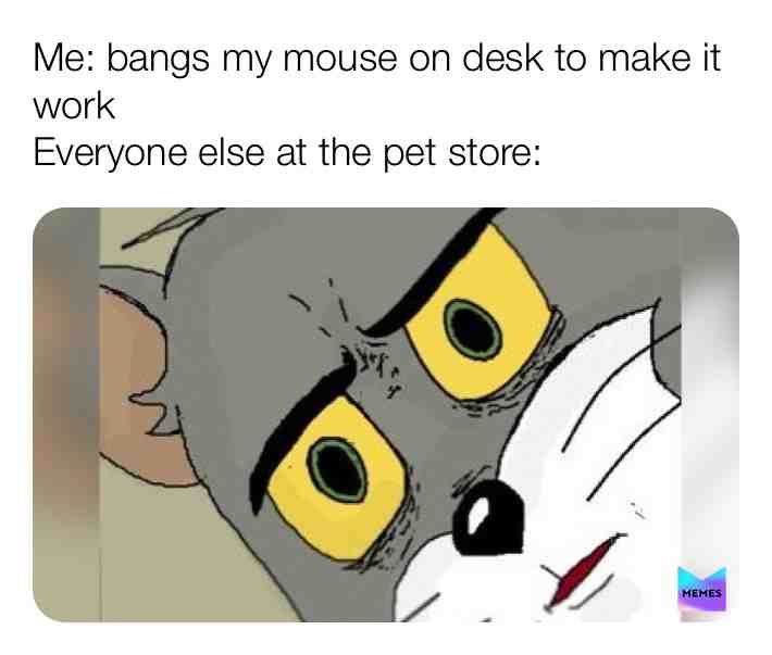 Meme shared by @very_epic_memes