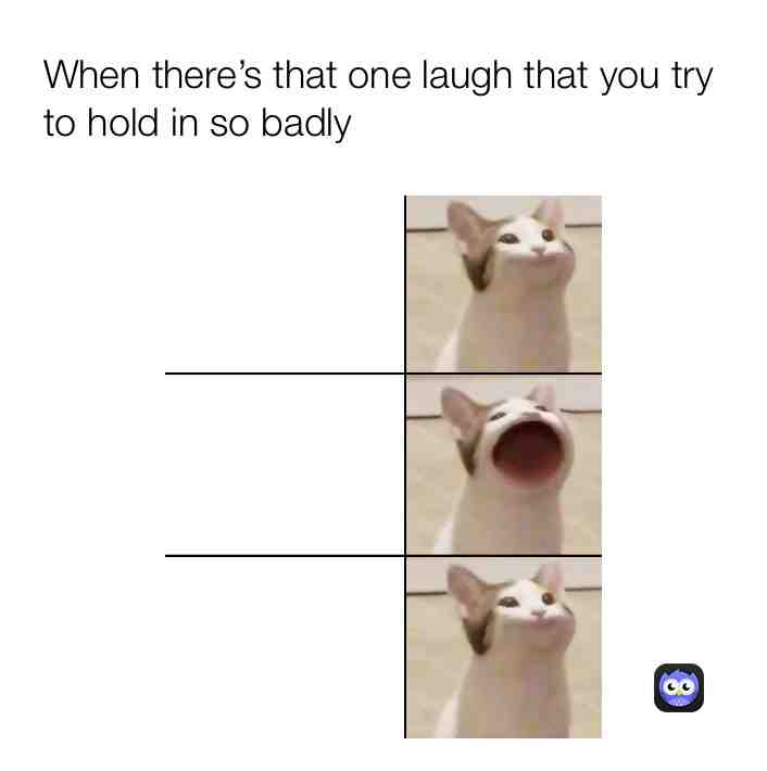 Meme shared by @citygirl