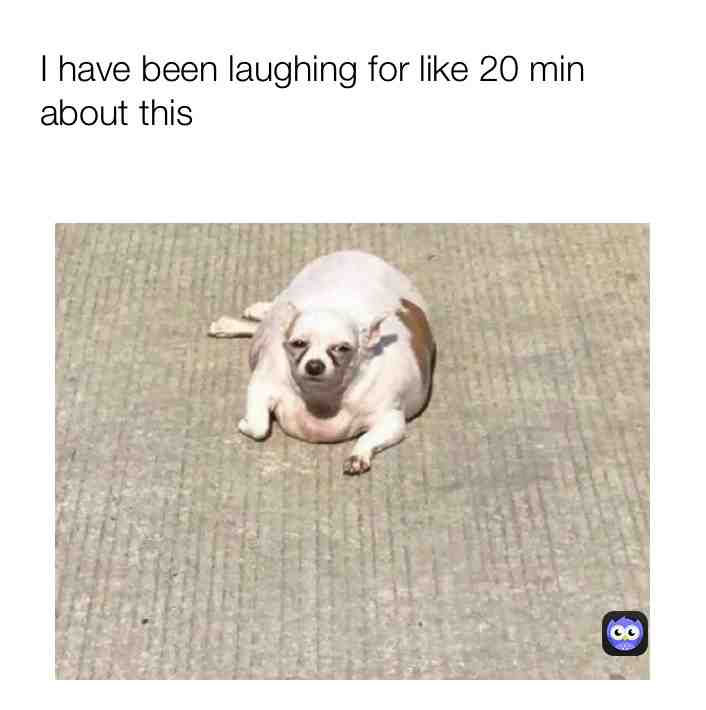 Meme shared by @citygirl
