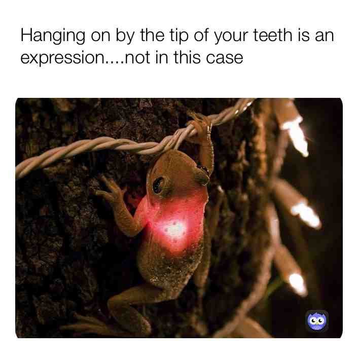 Meme shared by @citygirl