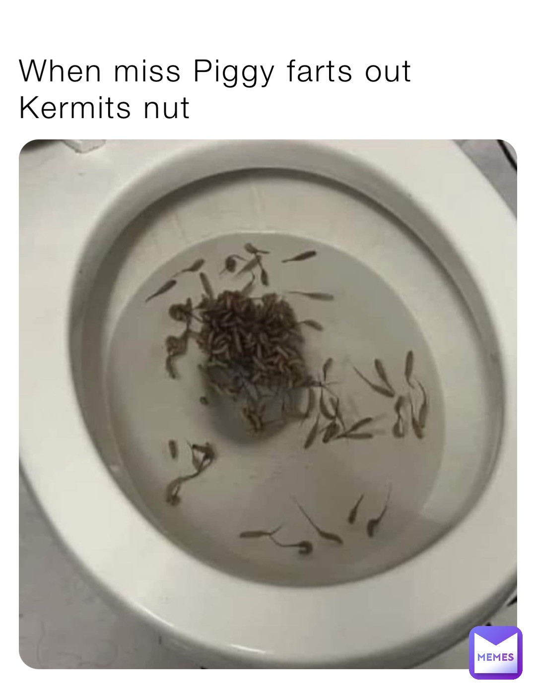 When miss Piggy farts out Kermits nut