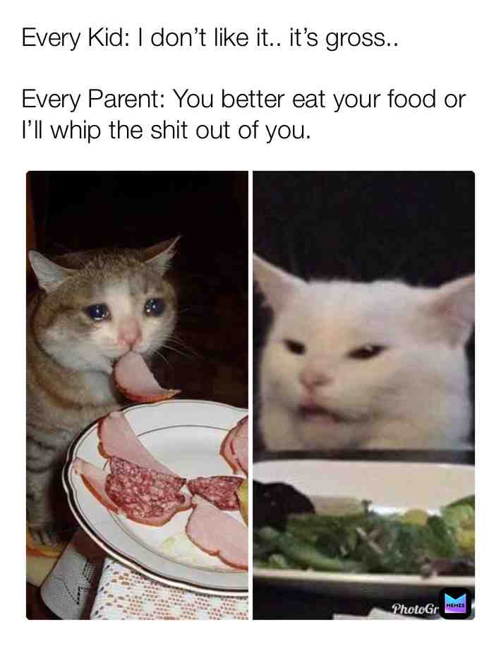 Hahaha the cats face #funny #memes SC:costello.made for streaks