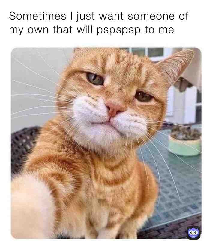 🥺 #funny #memes