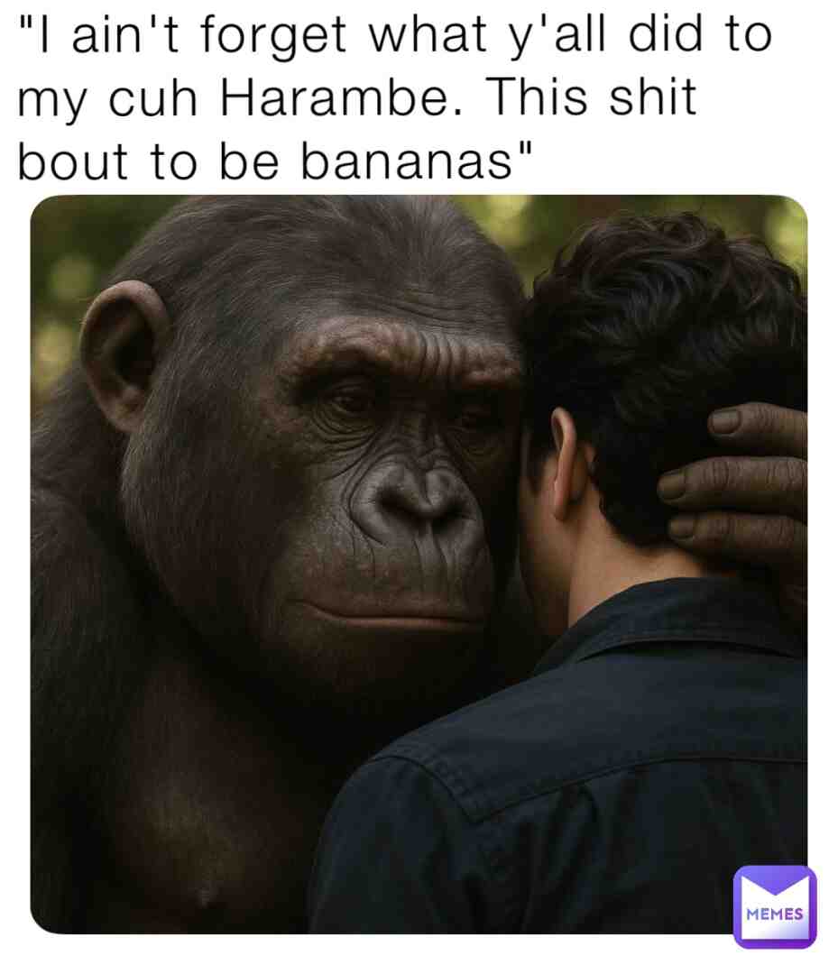 Just know, it is a wrap. #funny #memes #harambe