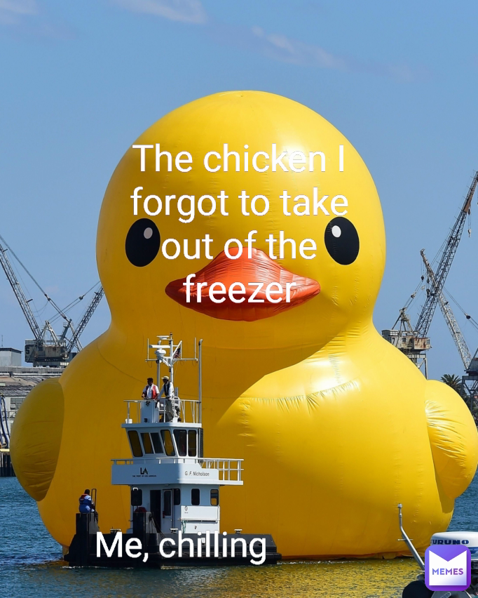 Me, chilling The chicken I forgot to take out of the freezer