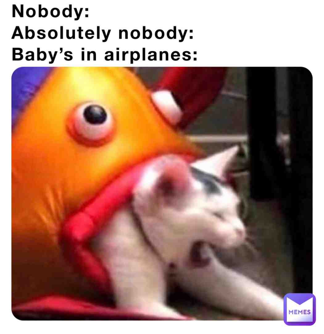 Meme shared by @StupidMemesstudios