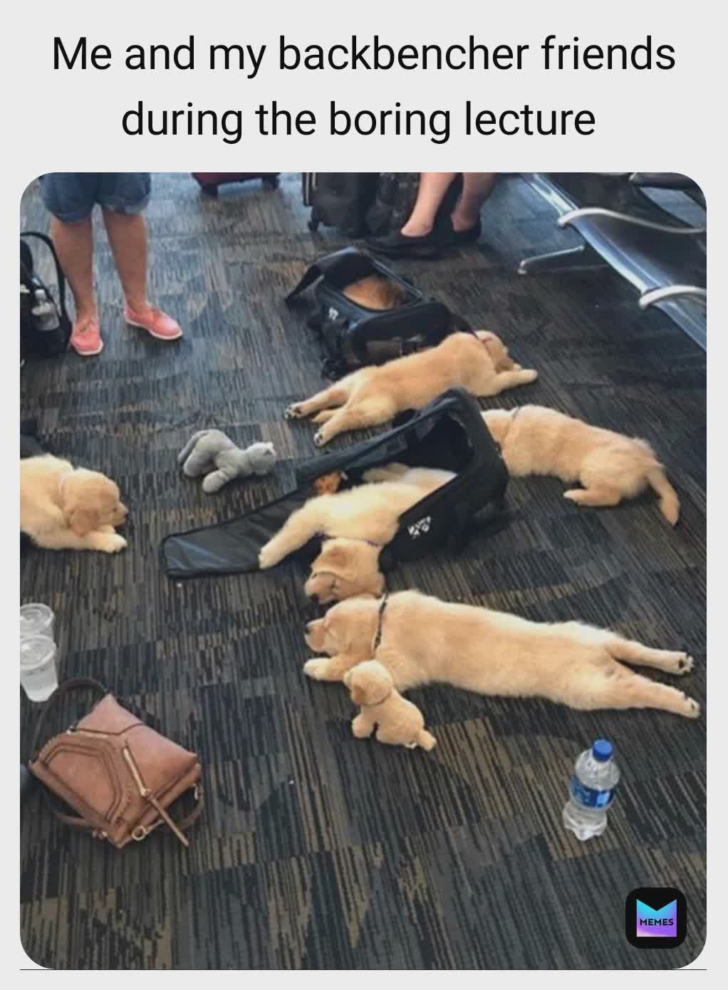 Meme by sarcasm_point_ki_didi