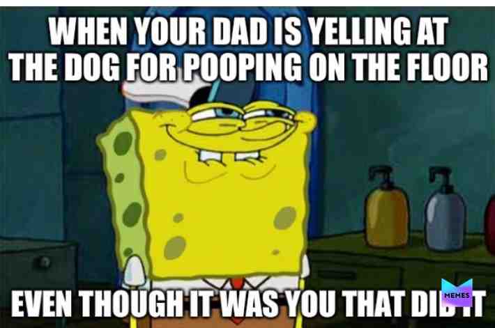 #omg #lol #memeoftheday #fail #siblingproblems #siblingstruggles #siblinglove #siblingmemes #memeschallenge #kidmeme #pain #memes #true #truestory #couplememes