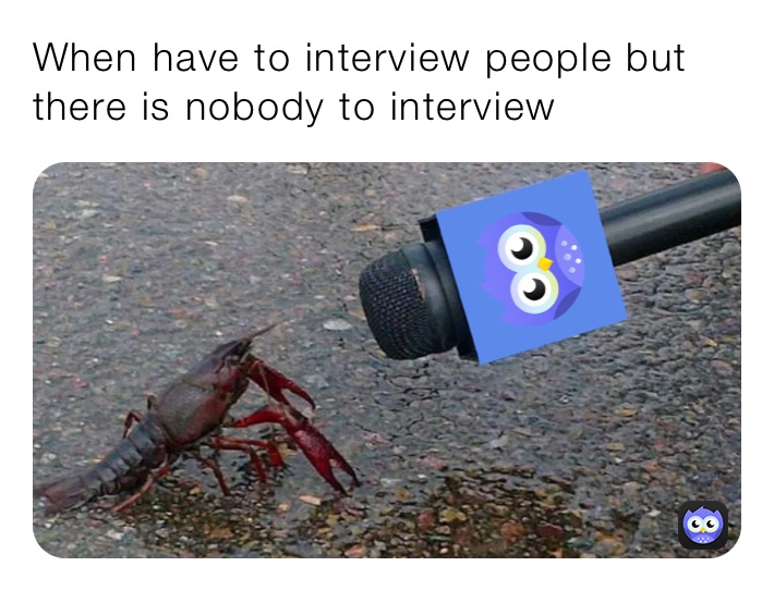 When have to interview people but there is nobody to interview