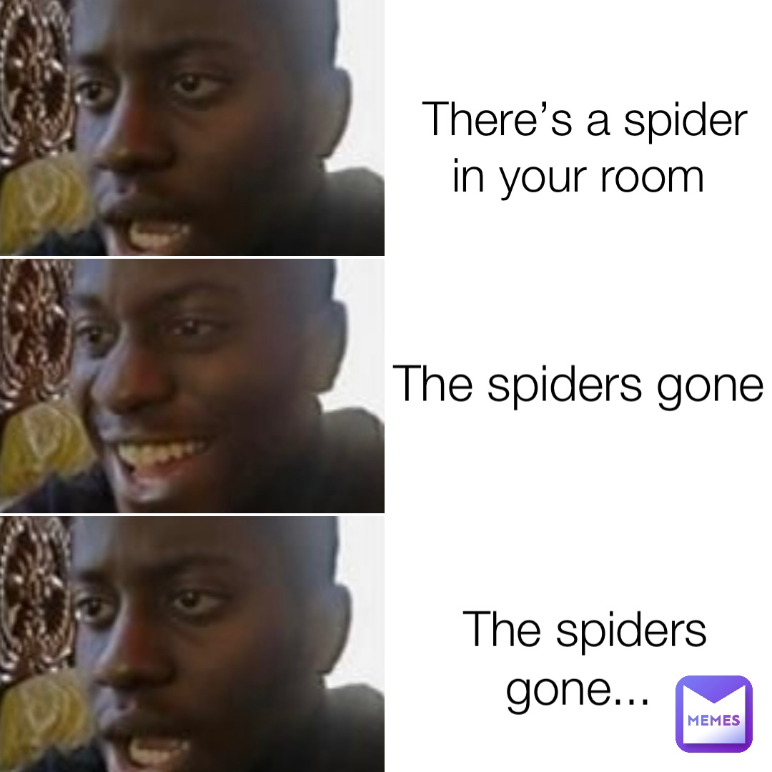 there-s-a-spider-in-your-room-the-spiders-gone-the-spiders-gone