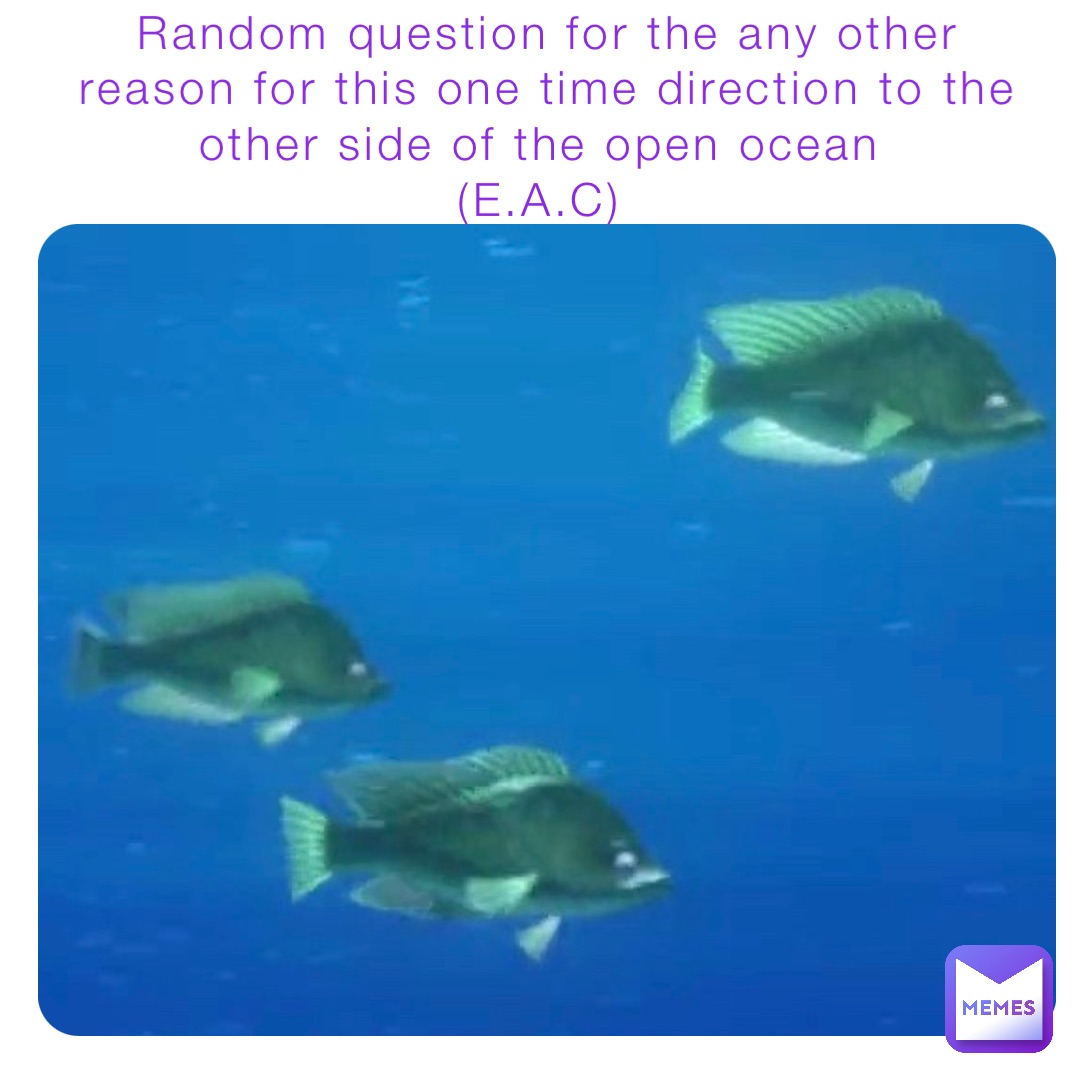 #screencaps #early2000s #poems #poetry #fishes #todaymemes