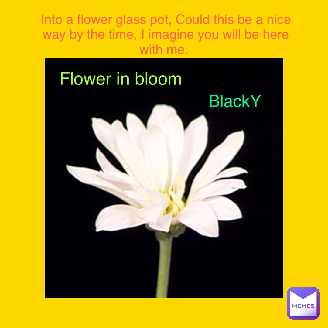 Flower in bloom BlackY Into a flower glass pot, Could this be a nice way by the time, I imagine you will be here with me.