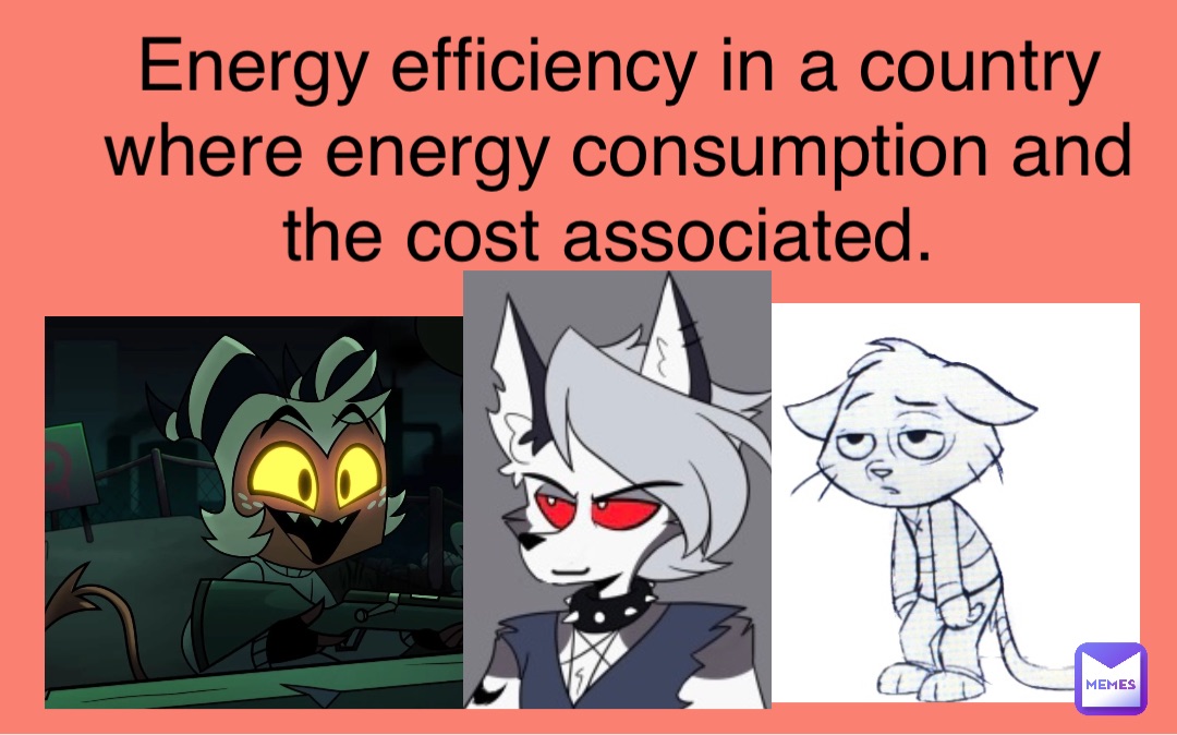 Energy efficiency in a country where energy consumption and the cost associated.