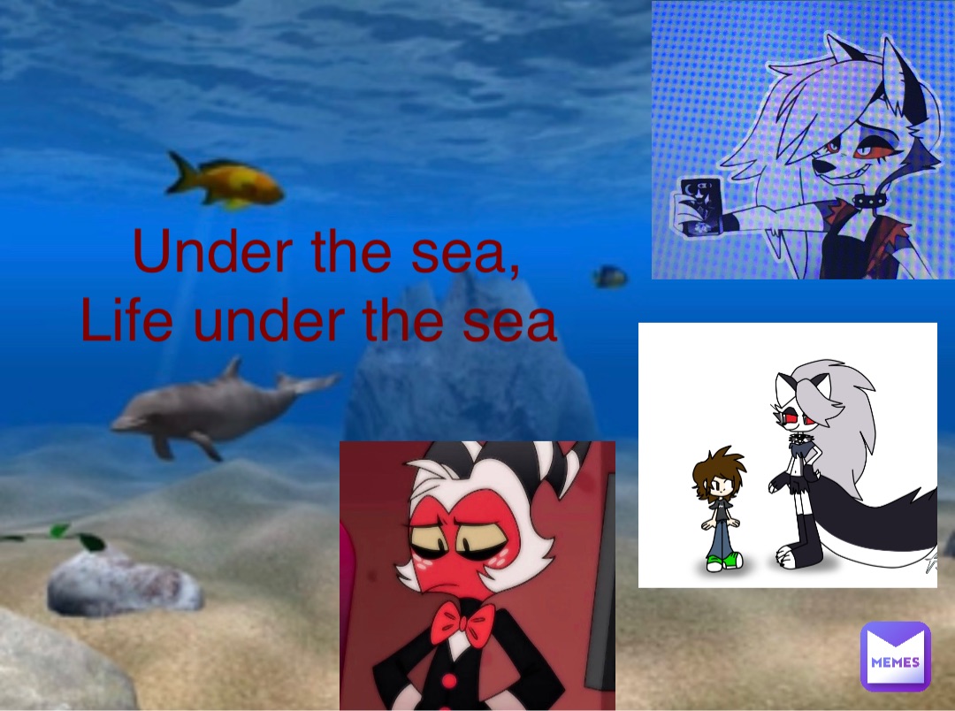 Under the sea, 
Life under the sea