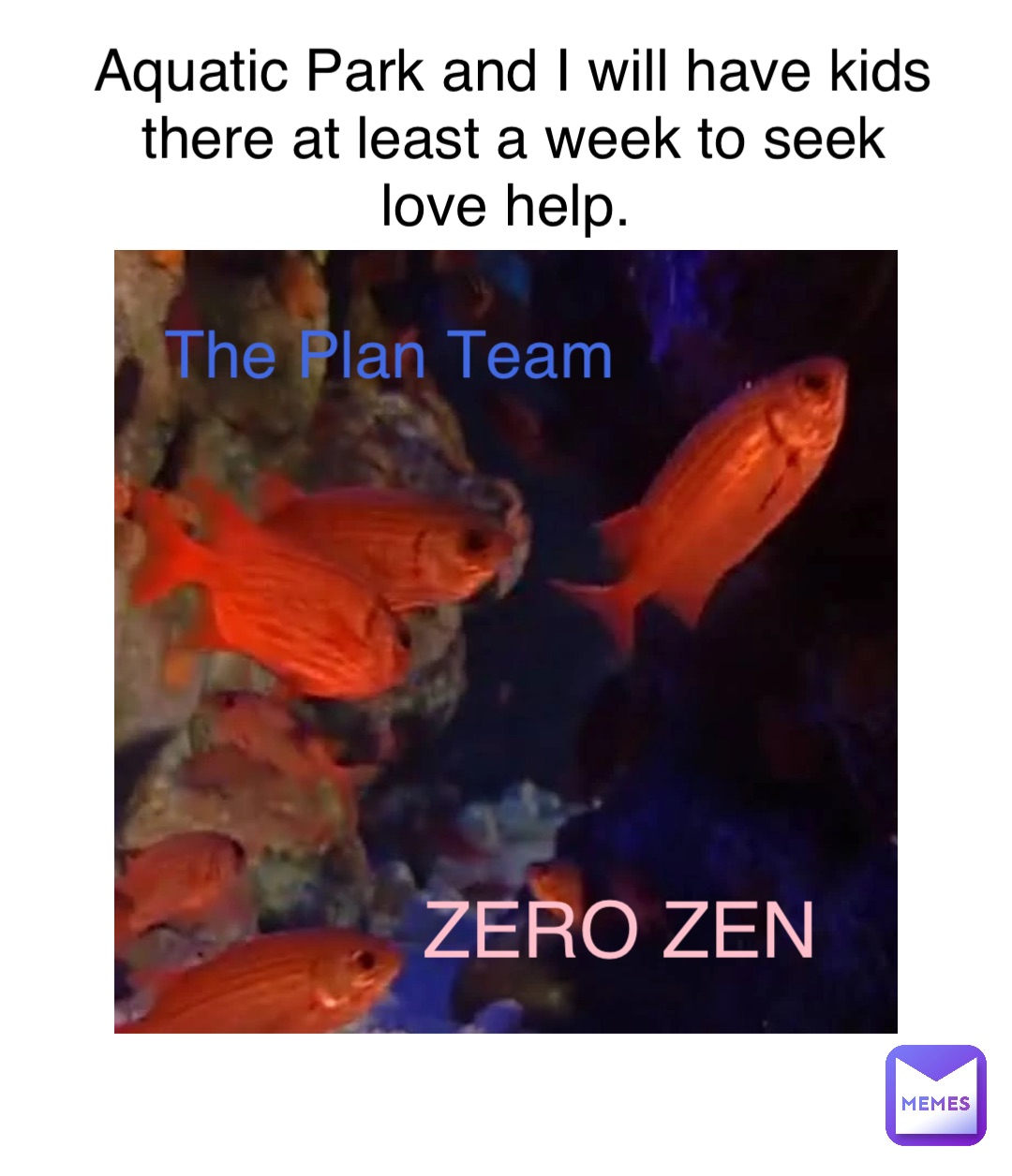 ZERO ZEN The Plan Team Aquatic Park and I will have kids there at least a week to seek love help.