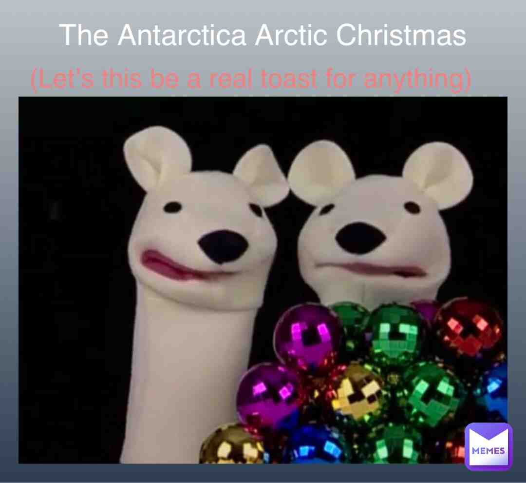 #polarbears #handpuppets #screencaps #holidaysday #specialtiming #christmas2022 #xmas2022 #awesomeness