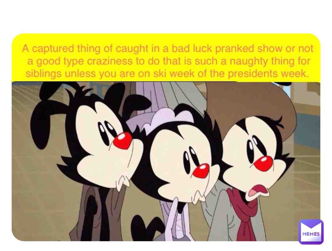 #animaniacs2020 #yakkowakkoanddot #animaniacsmemes #poems #screencaps #warnersiblings #clips