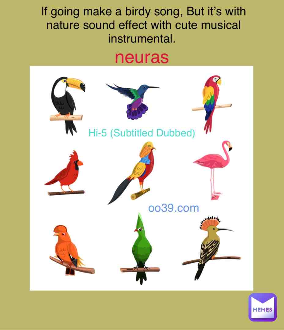 #ddrjackets #dancedancerevolution #songs #birds #songcomments #flamingo #macaws #parrots #toucans #tropical #patterns #hummingbirds #jacketsquare #desginer