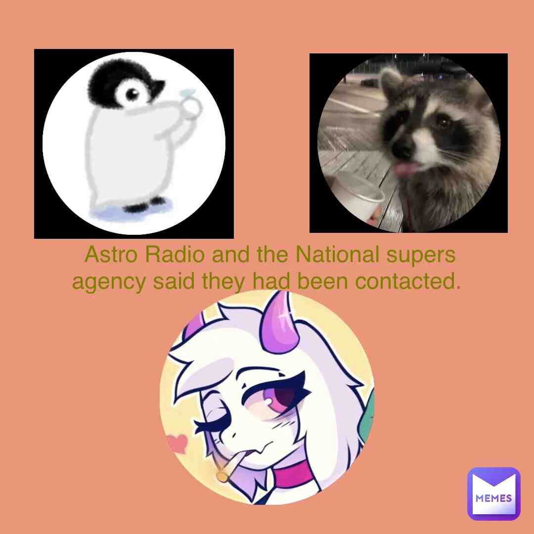 #penguins #raccoons #undertale #animals #haventsleptindays #cute #adorable #random #randomness #dailyposts