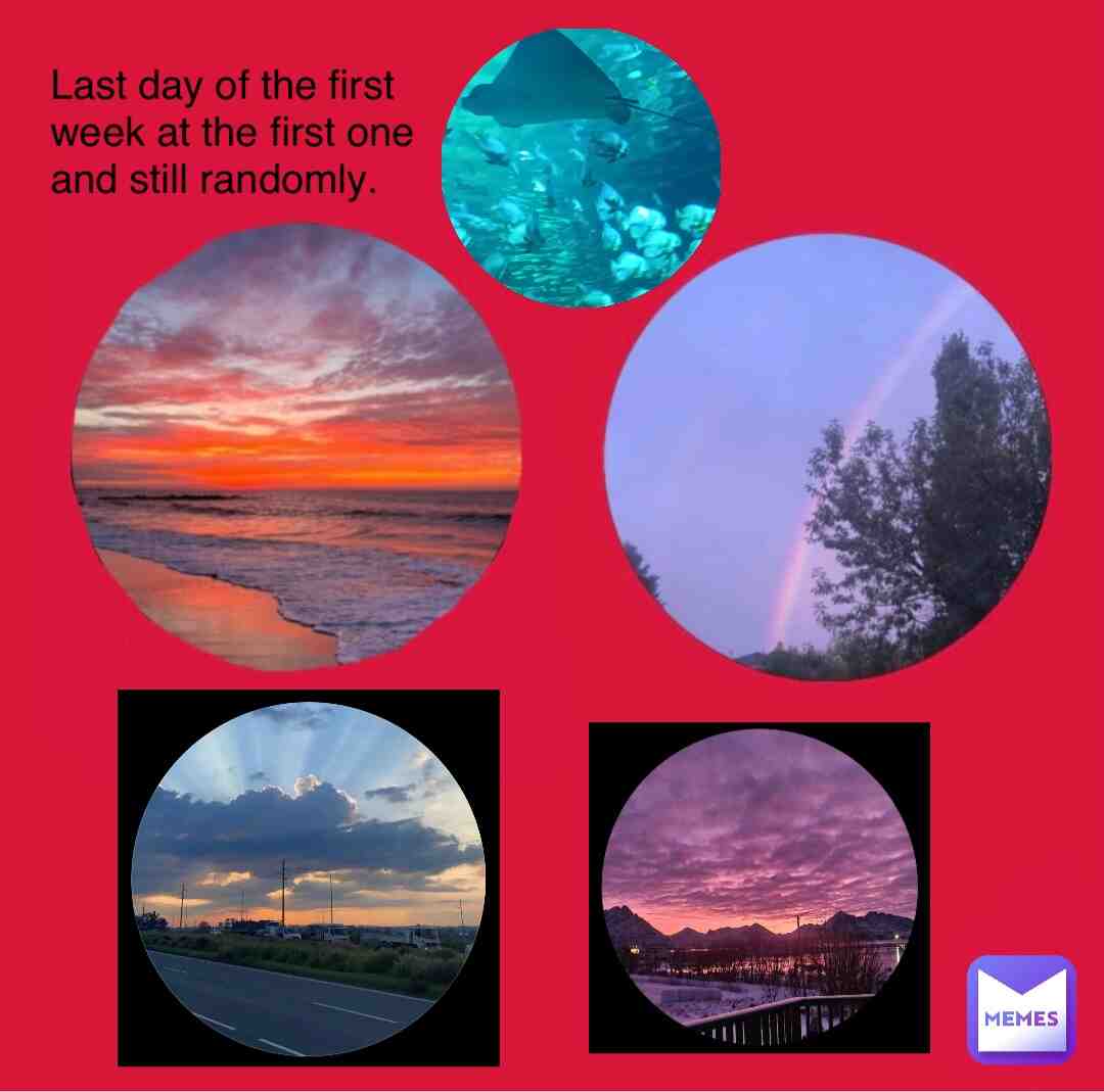 #dailypost #postoftheday #posts #circle #aquarium #sunset #rainbow #postmates #timing #lovely