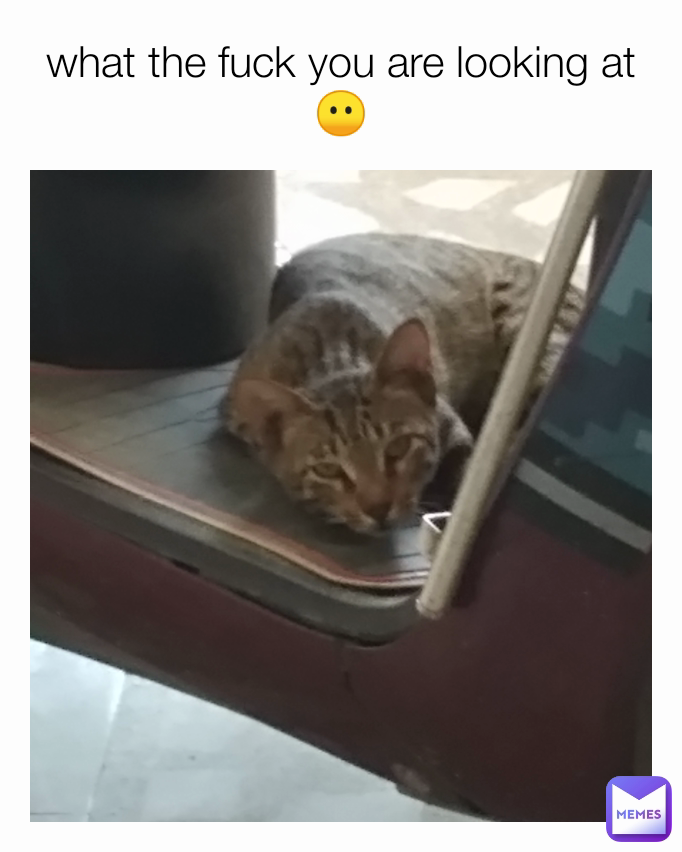 what the fuck you are looking at 😶
