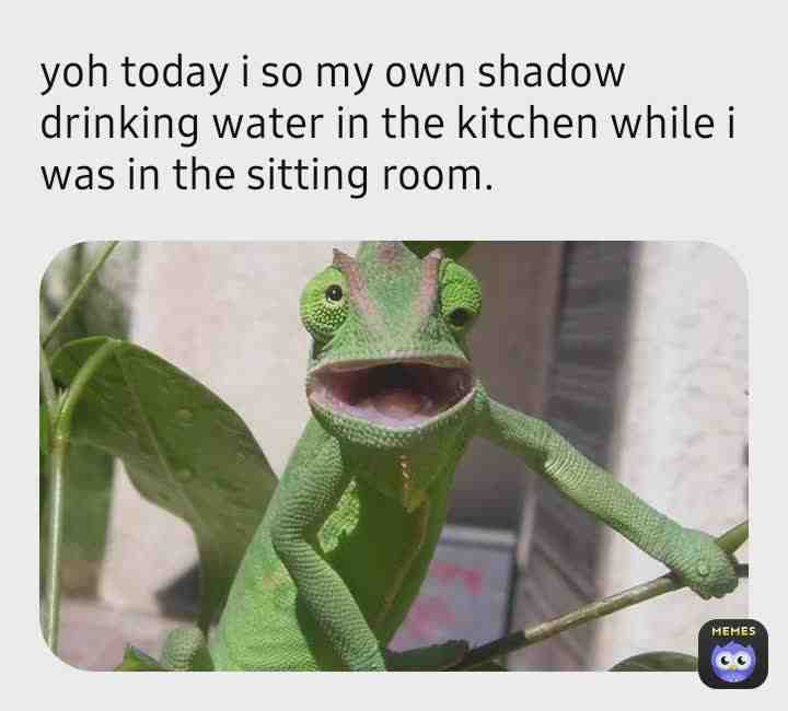 🤣💀