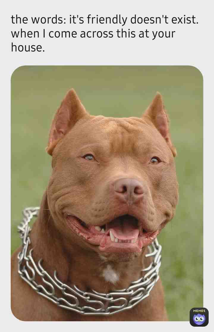🤣🤣🤣