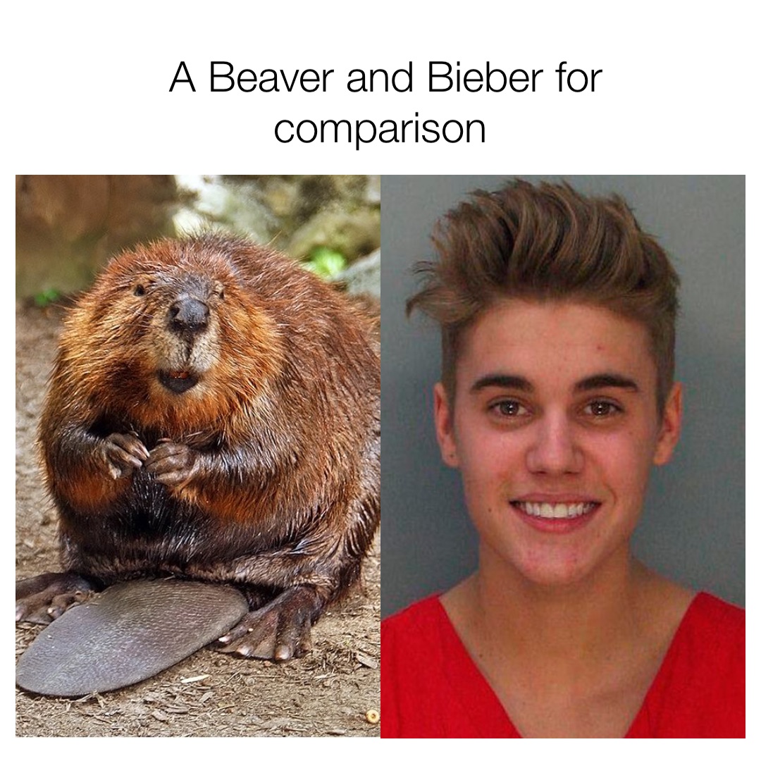 Meme by MemesHeaven1