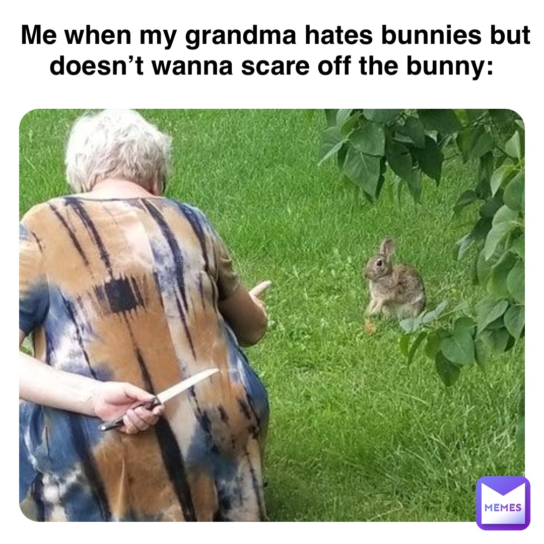 Double tap to edit Me when my grandma hates bunnies but doesn’t wanna scare off the bunny: