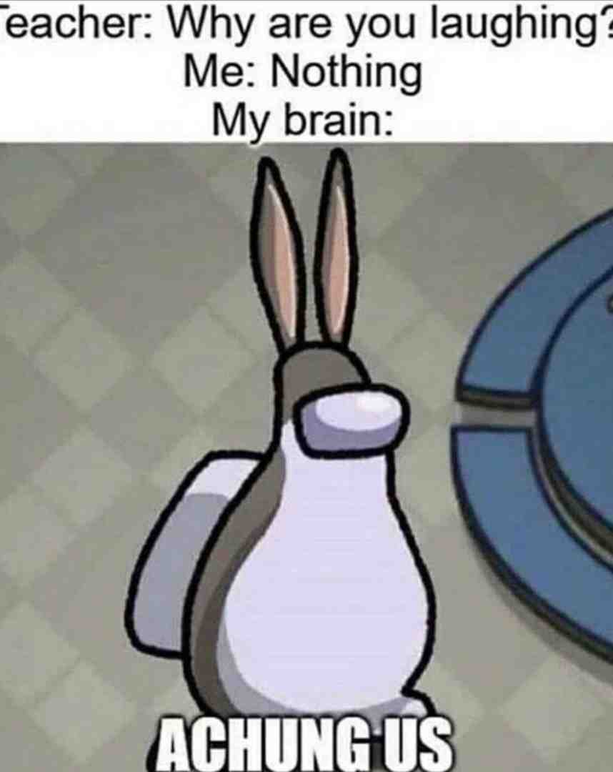 Meme preview