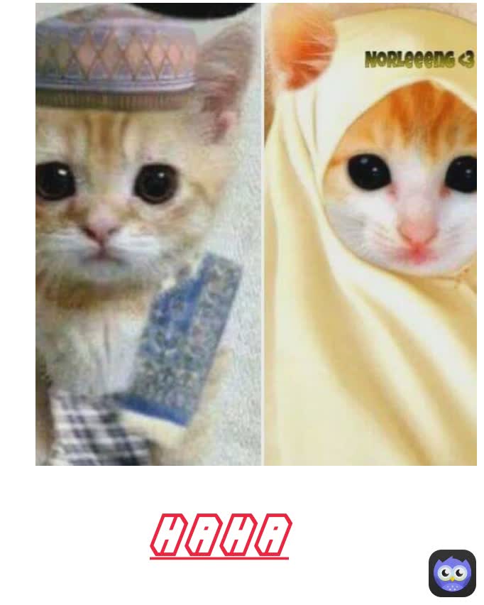 haha